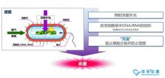 海信中央空調(diào)紫光盾殺菌模塊上市，健康技能加